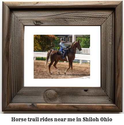 horse trail rides near me in Shiloh, Ohio